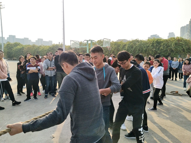 免费足球直播app