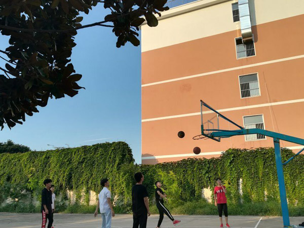 免费足球直播app