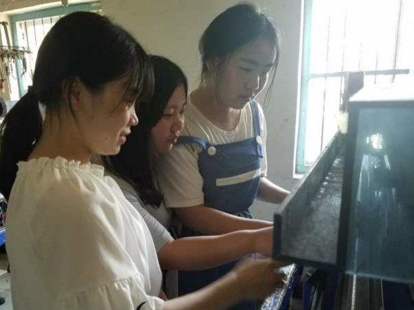 免费足球直播app