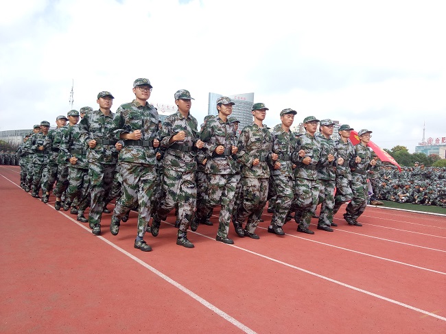 免费足球直播app