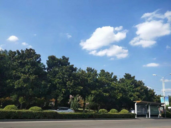 免费足球直播app