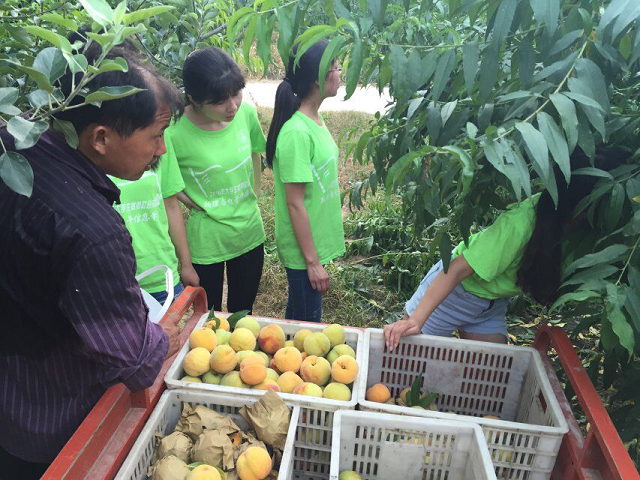 免费足球直播app