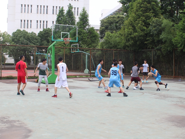 免费足球直播app