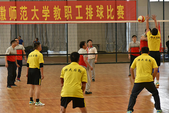 免费足球直播app