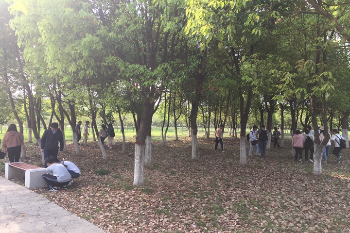 免费足球直播app