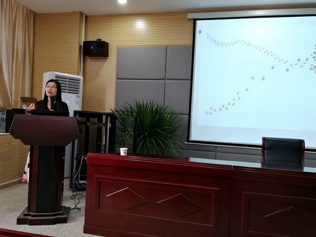 免费足球直播app