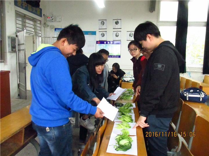 免费足球直播app