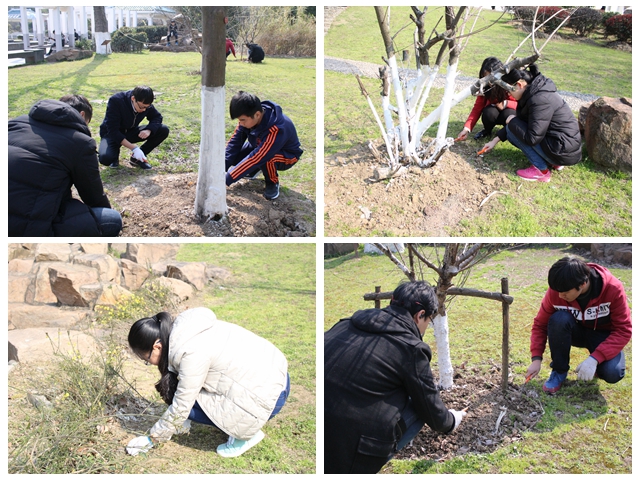 免费足球直播app