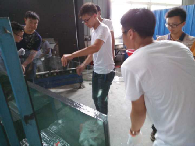 免费足球直播app