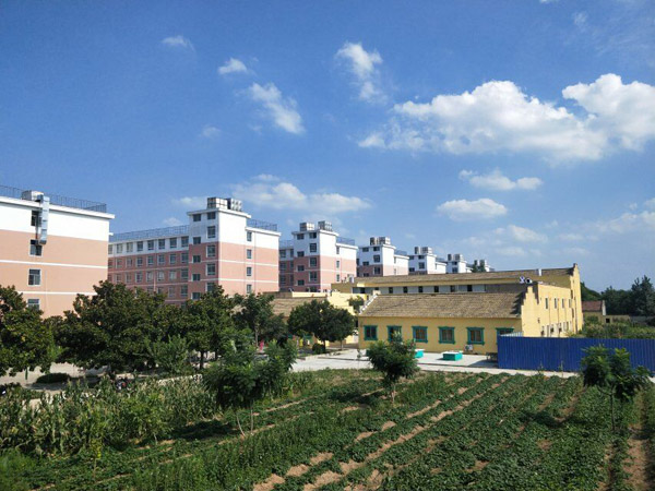 免费足球直播app