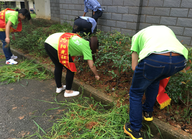 免费足球直播app