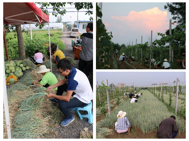 免费足球直播app