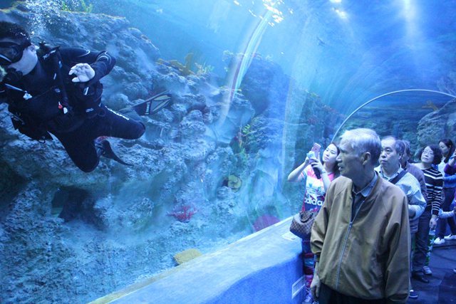 免费足球直播app