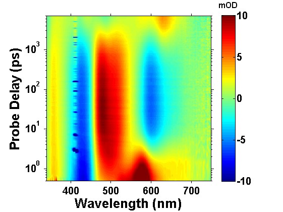 免费足球直播app