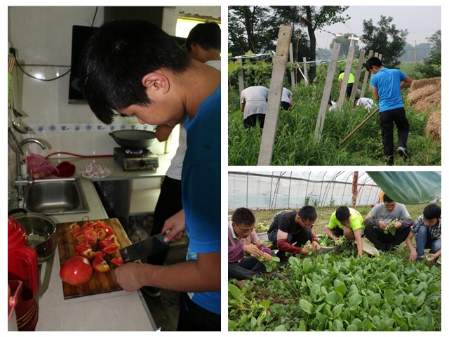 免费足球直播app